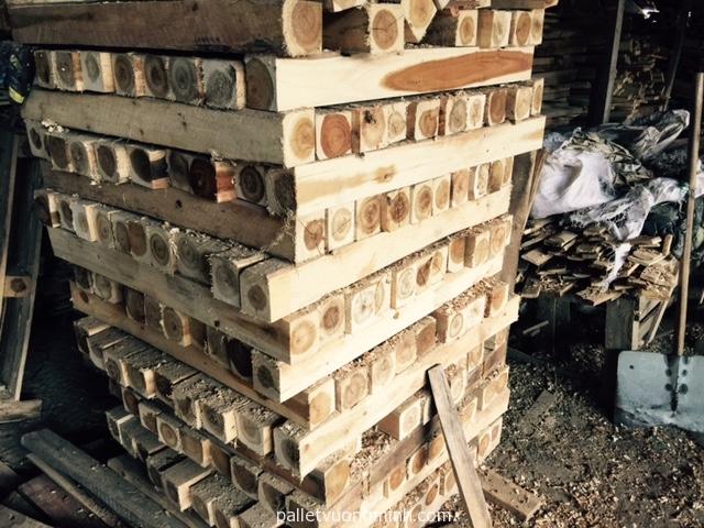 hun trùng gỗ pallet